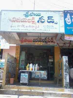 sri-vijaya-lakshmi-seeds-