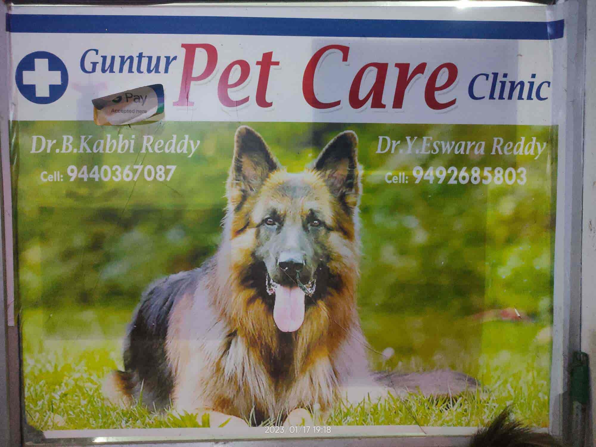 Guntur Pet Care Clinic in Pattabipuram,Guntur Best Veterinary Doctors