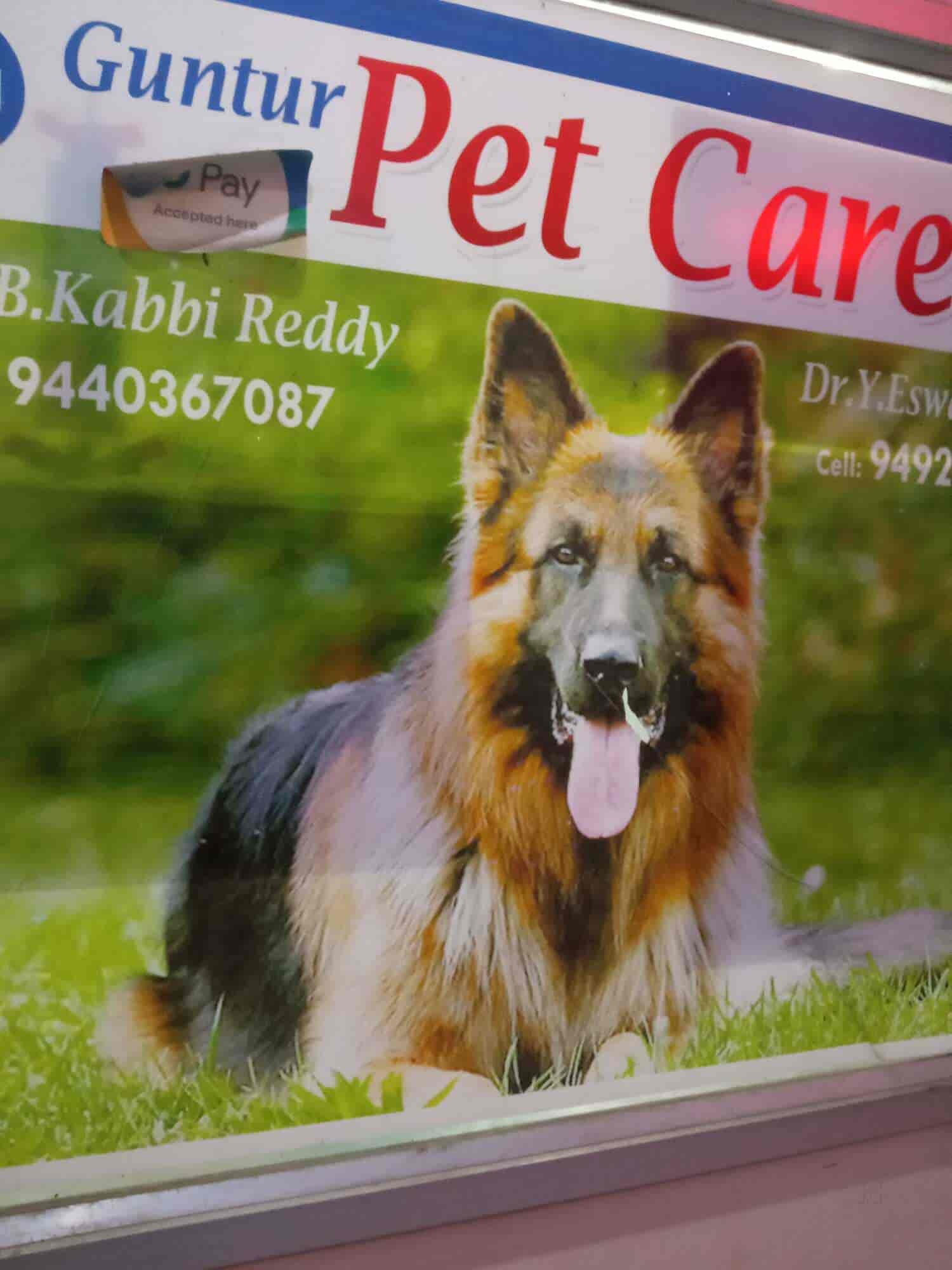 Guntur Pet Care Clinic in Pattabipuram,Guntur Best Veterinary Doctors