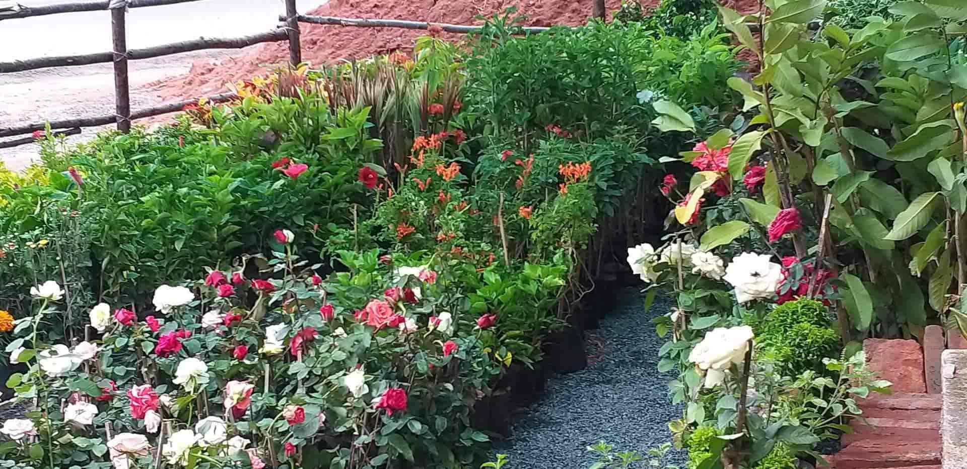 Top Plant Nurseries in Rajupalem,Guntur Best Government Plant Nurseries near me Justdial