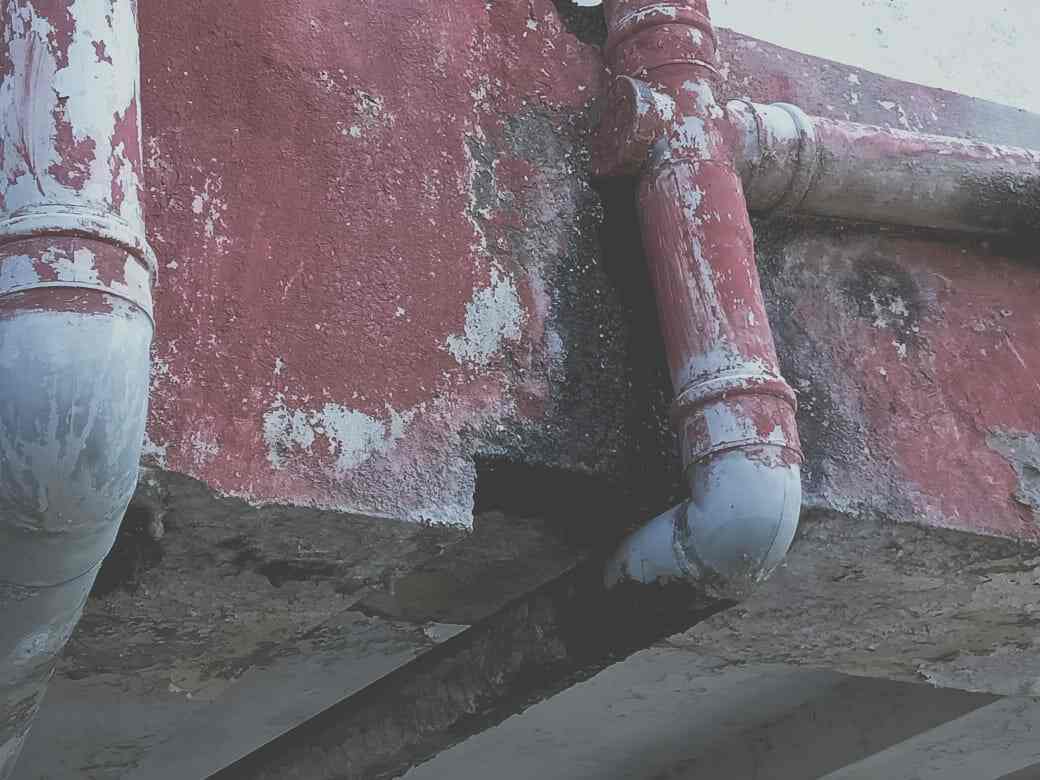 Siva Parvathi Pest Control & Water Proofing in Vidya Nagar,Guntur