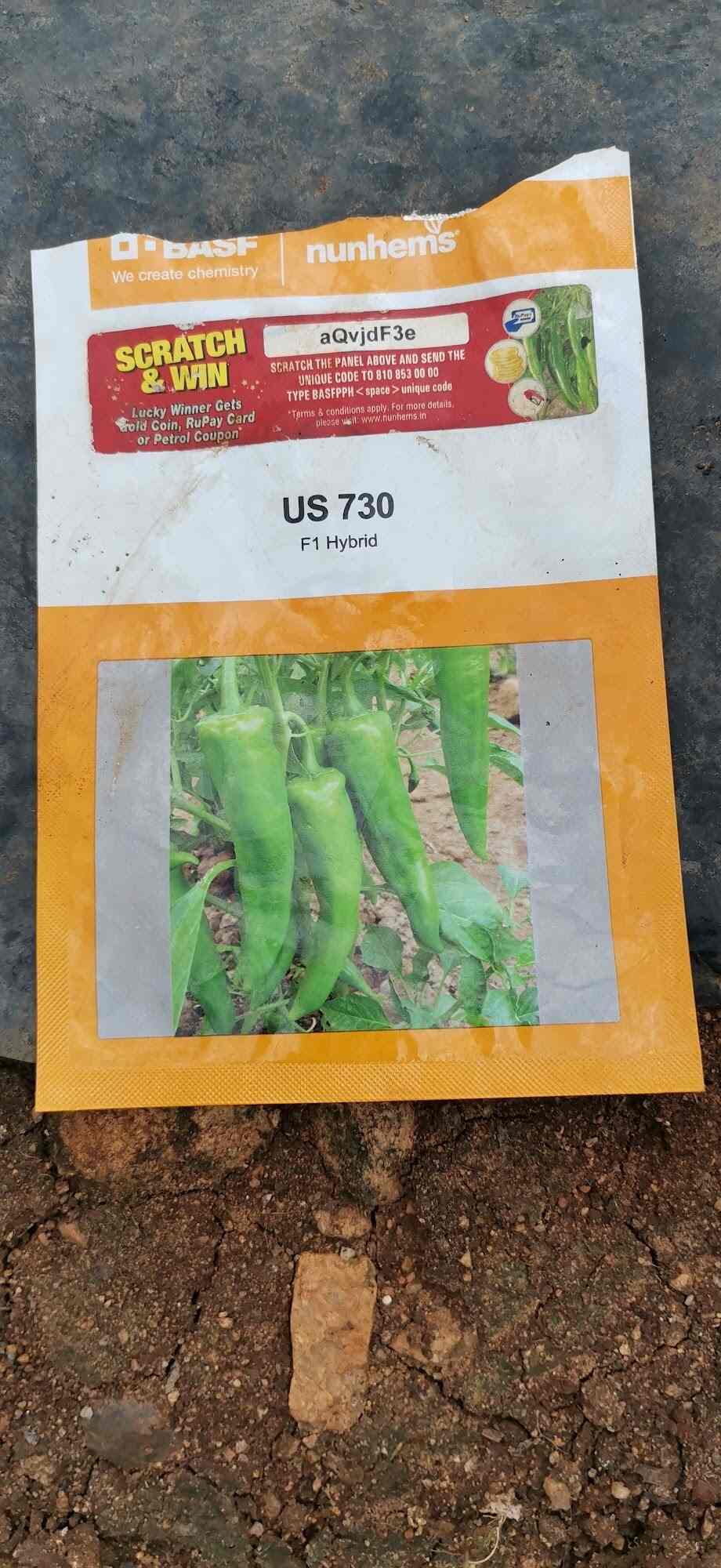 Top Plant Nurseries in Rajupalem,Guntur Best Government Plant Nurseries near me Justdial