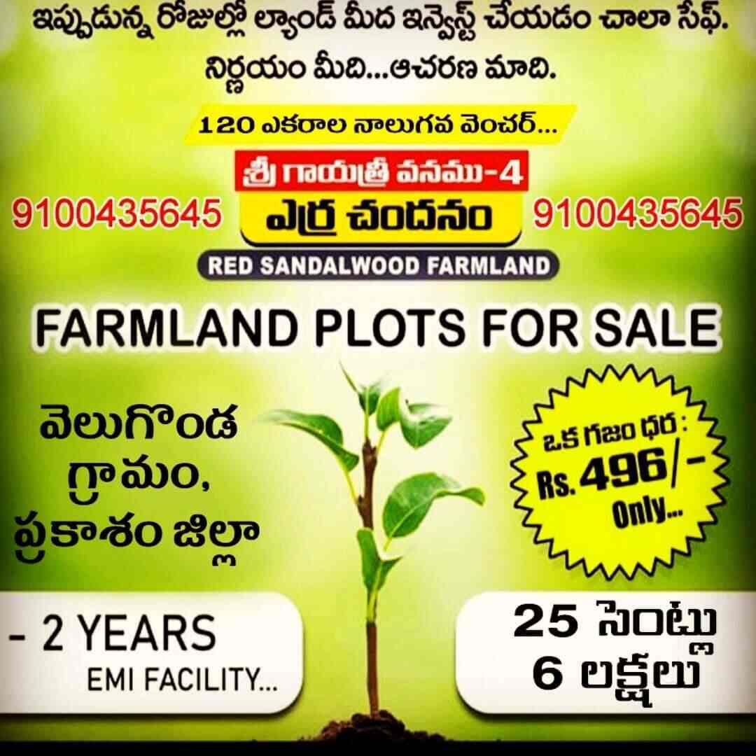 Farm Land Properties in Kolar Best Estate Agents in Kolar Justdial