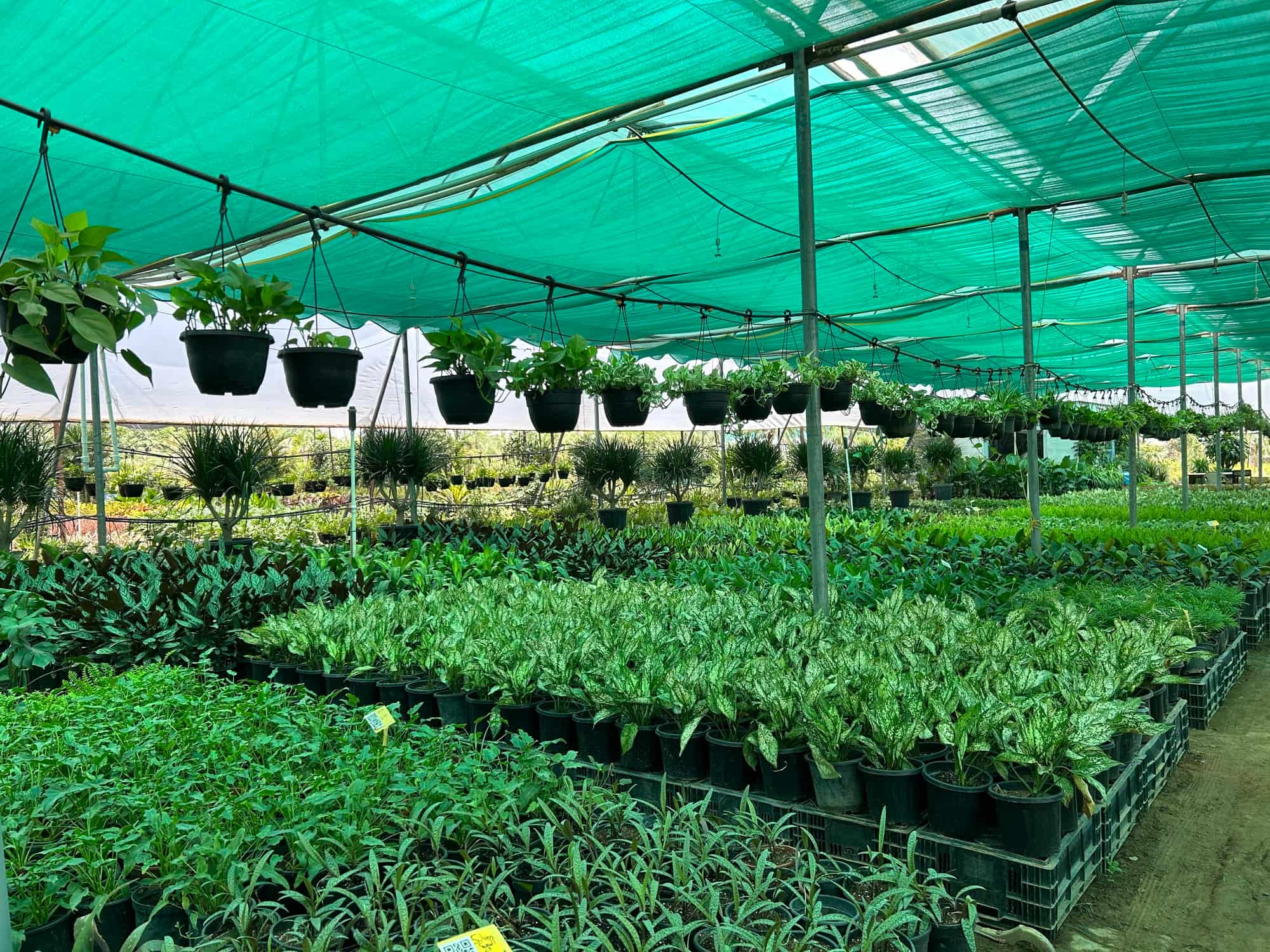 Green Heaven Plantscape in Valley View Estate,Delhi Best Plant