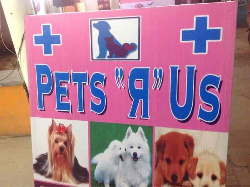 Pets R Us in Palam,Delhi Best Pet Clinics in Delhi Justdial