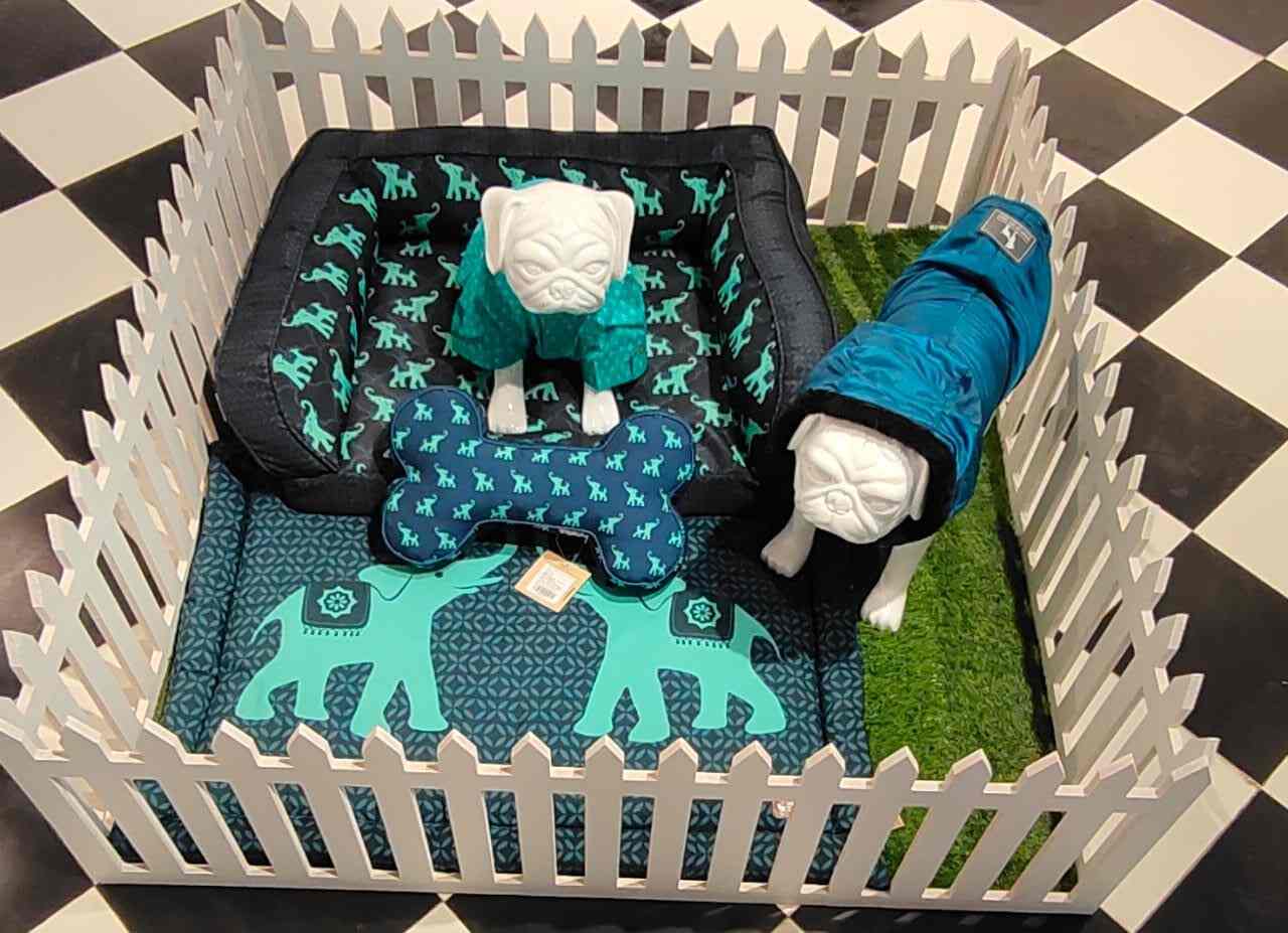 Heads Up For Tails Pet Store in Gurgaon Sector 65,Delhi Best Pet