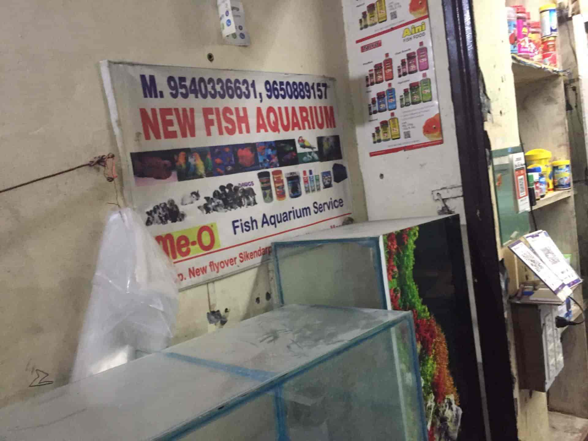 Top 100 Fish Aquariums in Delhi Best Fish Aquarium Dealers Justdial