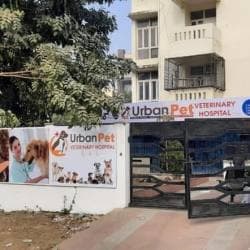 Top Pet Ambulance Services in Wazirabad Gurgaon - Best Animal Ambulance Services Delhi - Justdial Top Pet Ambulance Services in Wazirabad Gurgaon - Best Animal Ambulance Services Delhi - Justdial