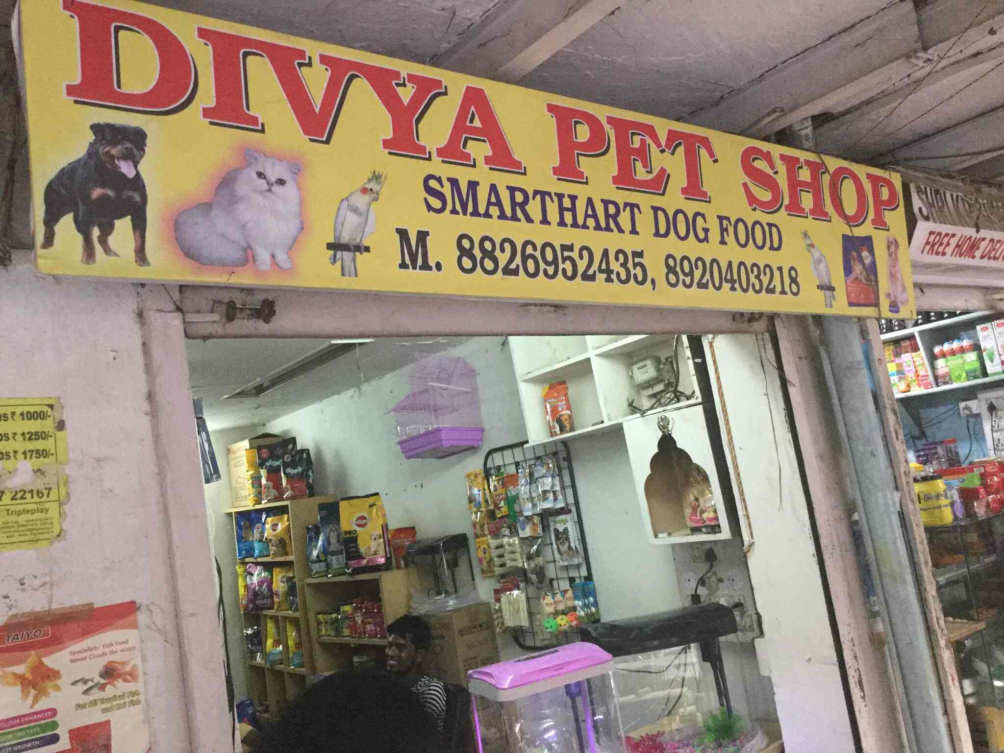 Divya Pet Shop in Dlf City Phase 3 Gurgaon Best Fish Food Retailers near me in Gurgaon Justdial