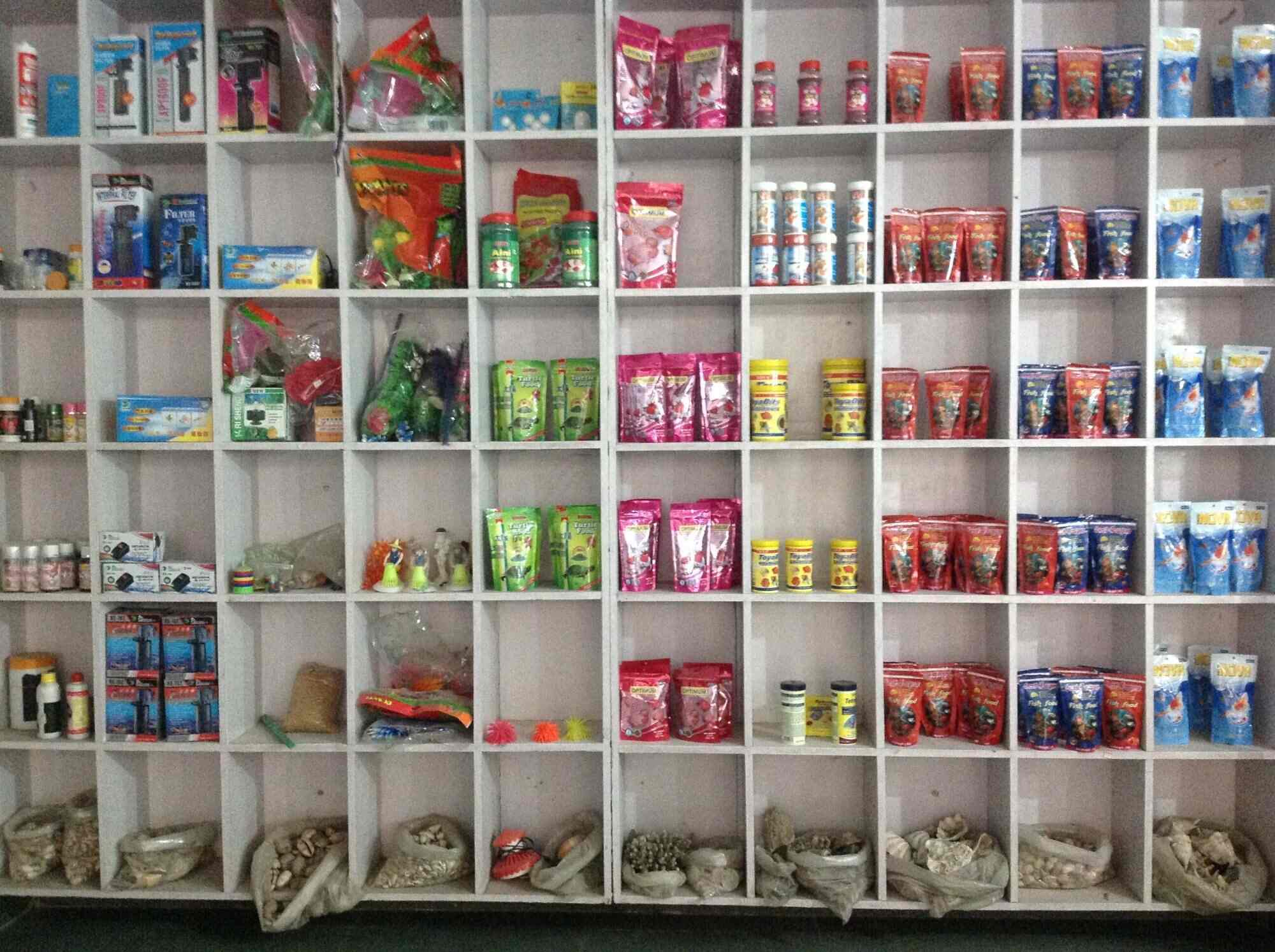 Sai Aquarium Store & Pet Shop in Gurgaon Sector 52,Delhi Best Pet