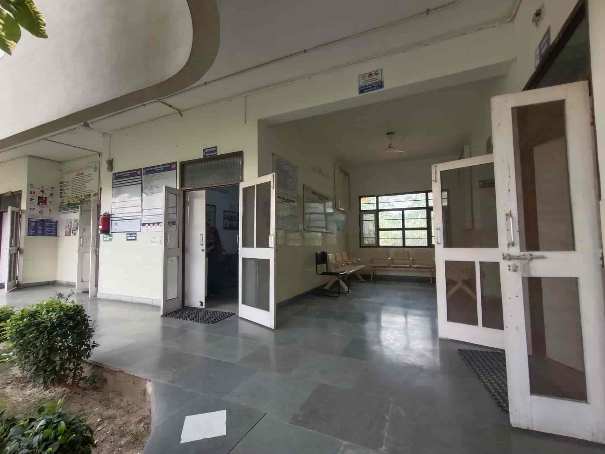 Government Veterinary Top Veterinary Hospitals Near Me Delhi