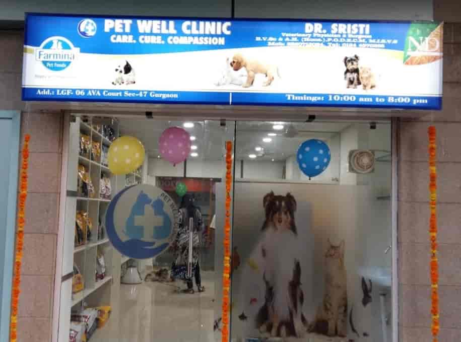 Pet Well Clinic Pet Shops Book Appointment Online Pet Shops In Malibu Town Gurgaon Delhi Justdial