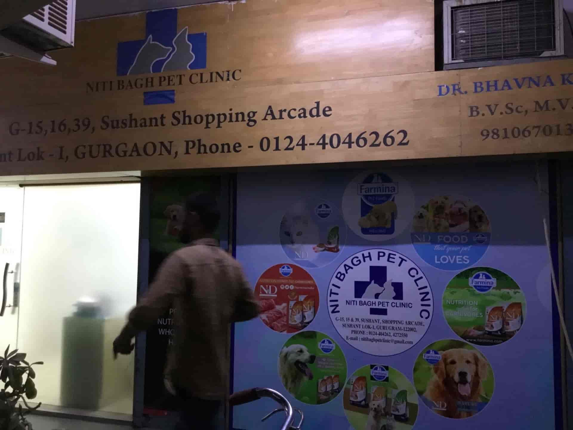 dr rana pet clinic niti bagh