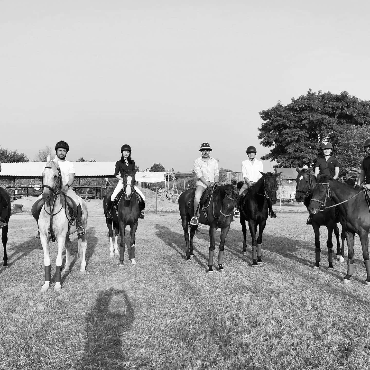 Gurgaon Horse Club in Gurgaon Sector 57,Delhi Best Horse Riding
