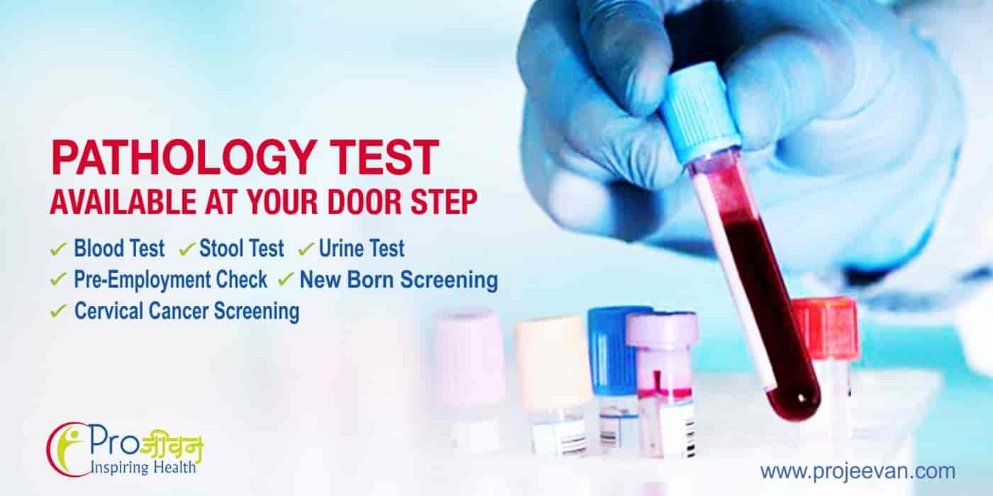 The Microbe Lab in Gurgaon Sector 47,Delhi Best Laboratory Testing