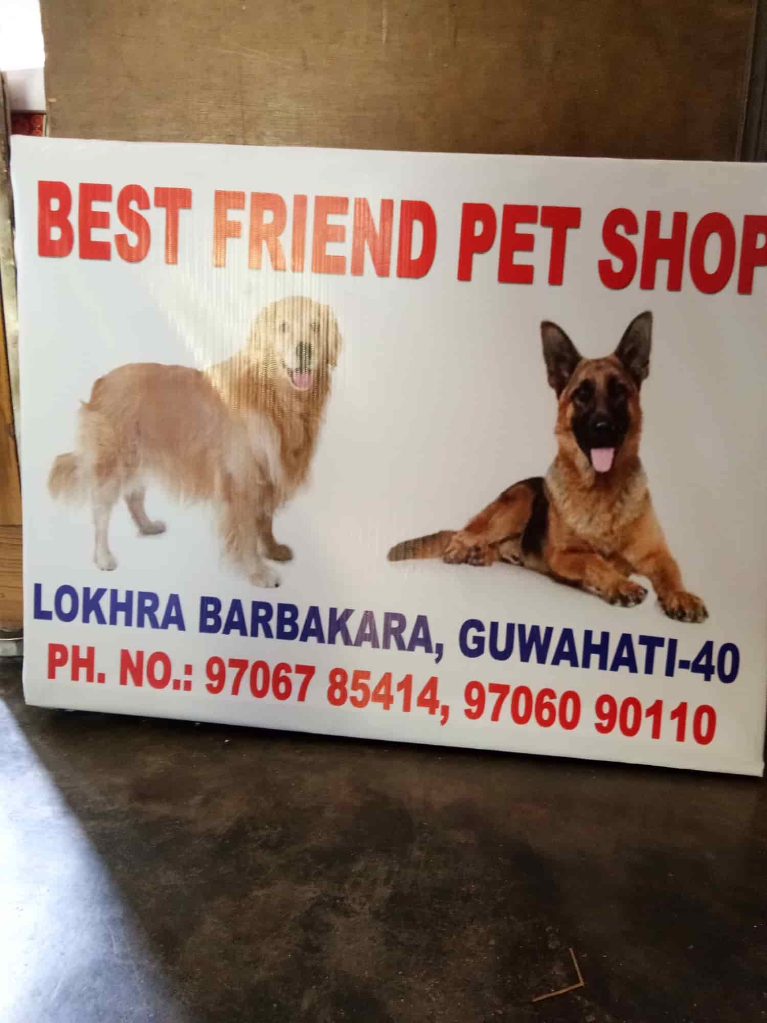 Best friend pet shop best sale