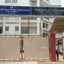 Family Courts