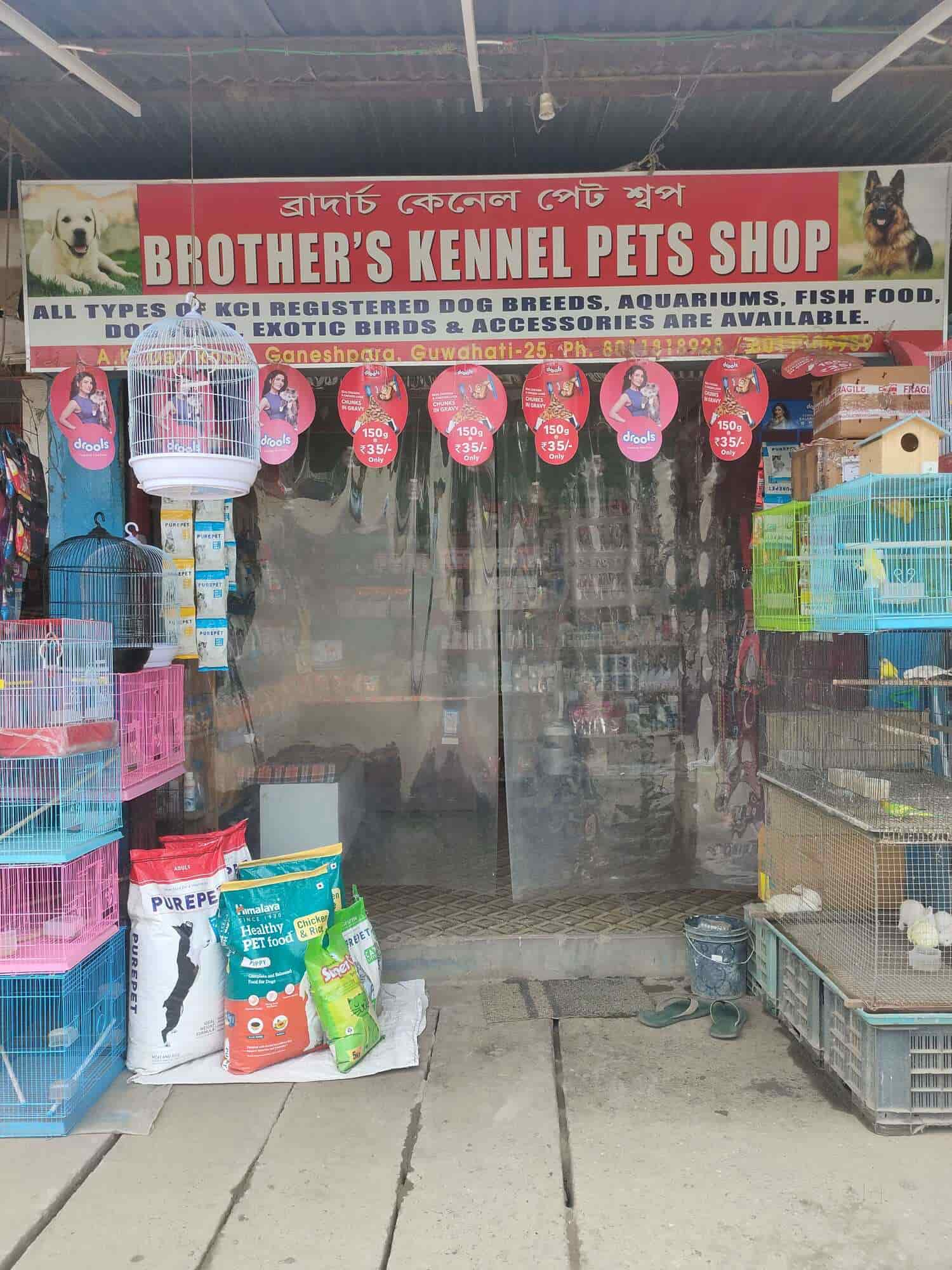 Brothers pet hot sale store