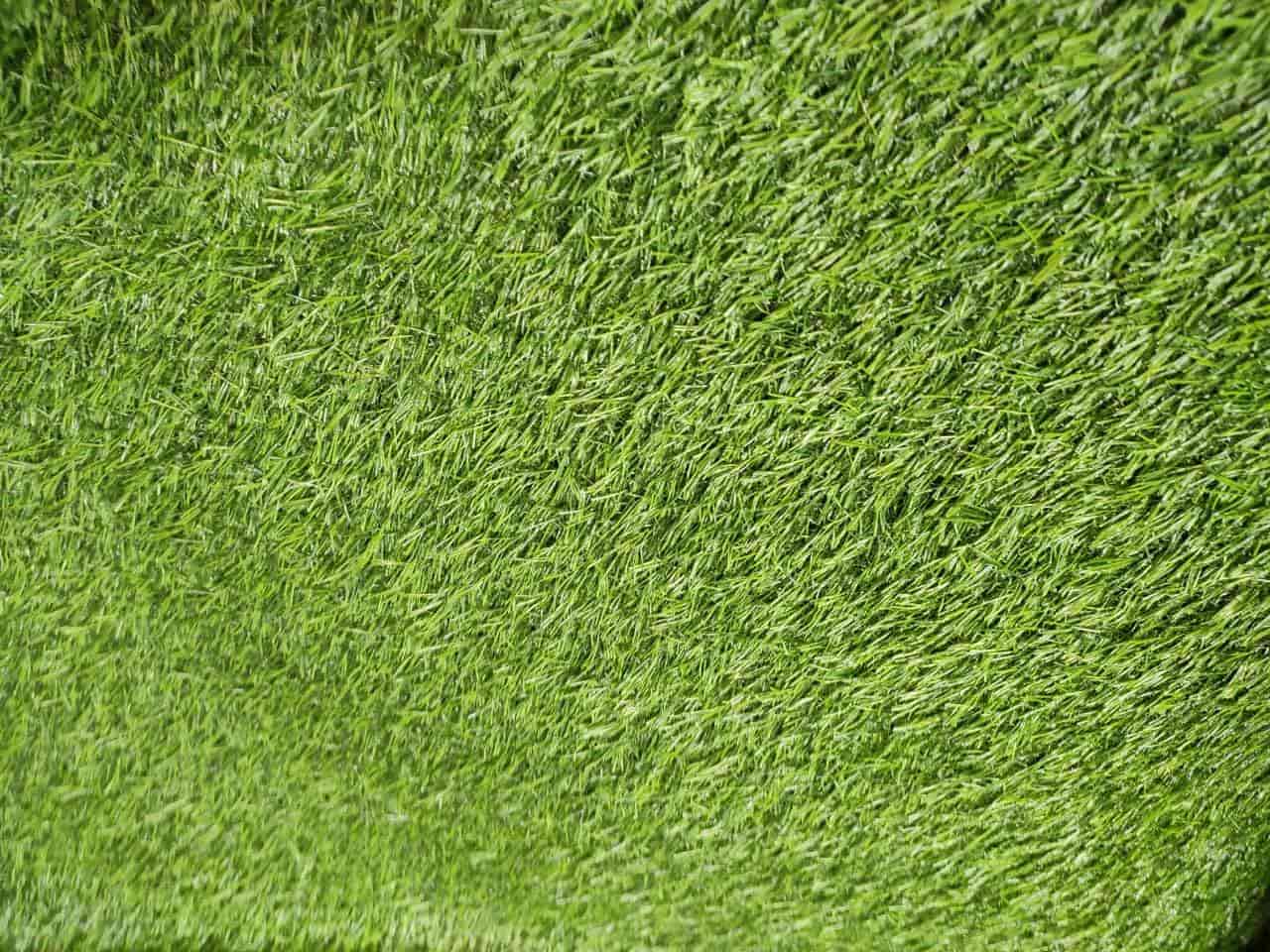 List of Top Artificial Turf Dealers in Guwahati Best Artificial Turf