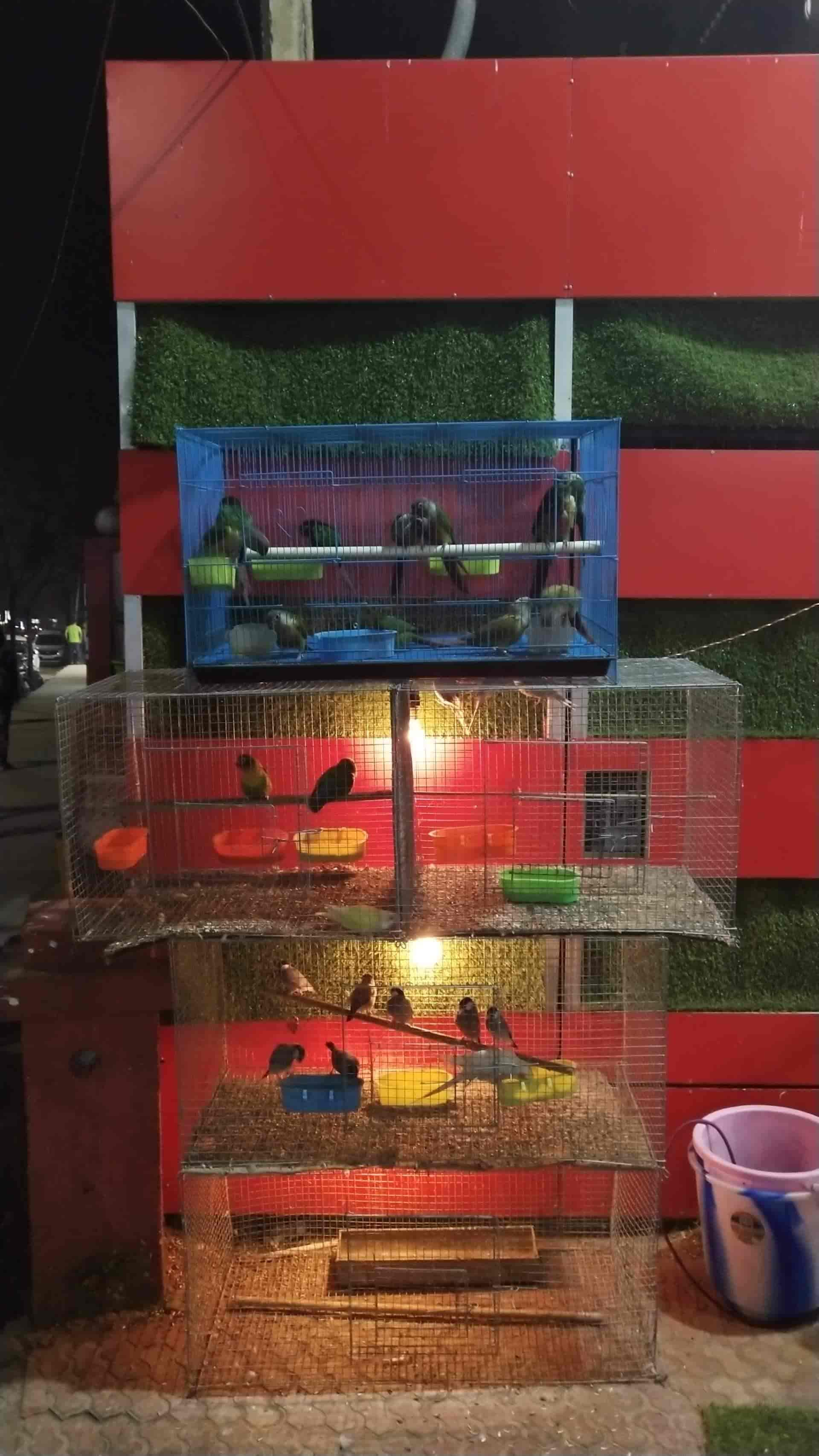 Singapoo Aqua Zone4 in Beltola,Guwahati Best Pet Shops in Guwahati