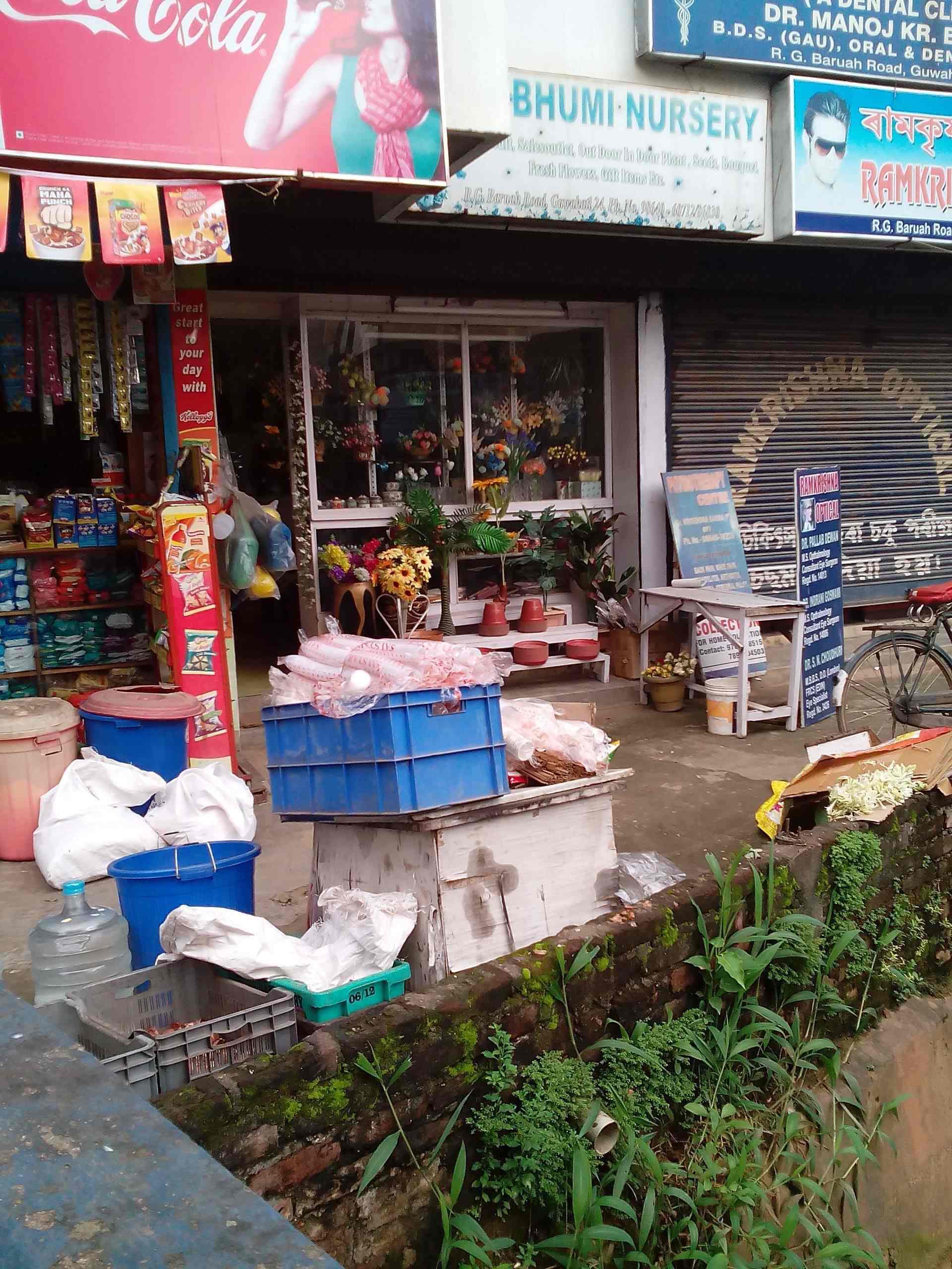 Shree Bhumi Nursery in Rg Baruah Road,Guwahati Best Flower Decorators