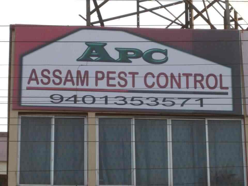 Top Pest Control Services in Guwahati Best Residential Pest Control