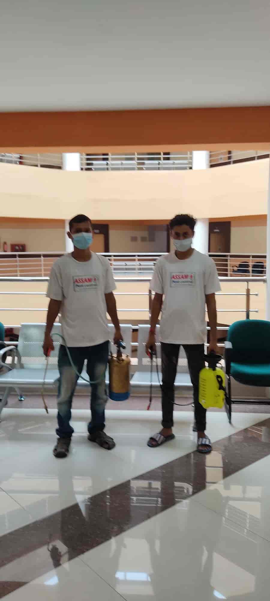 Top Pest Control Services in Guwahati Best Residential Pest Control