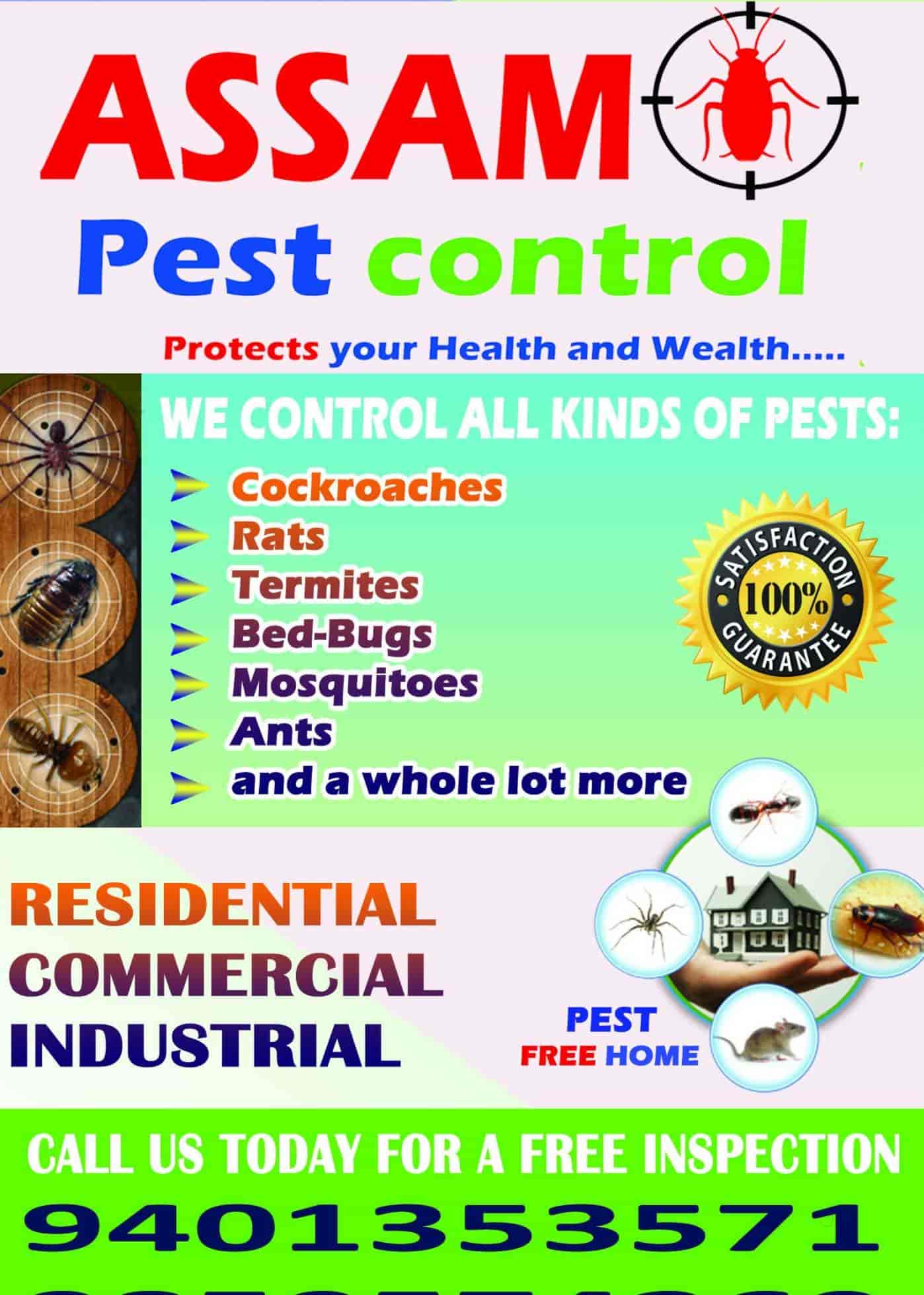Top Pest Control Services in Guwahati Best Residential Pest Control