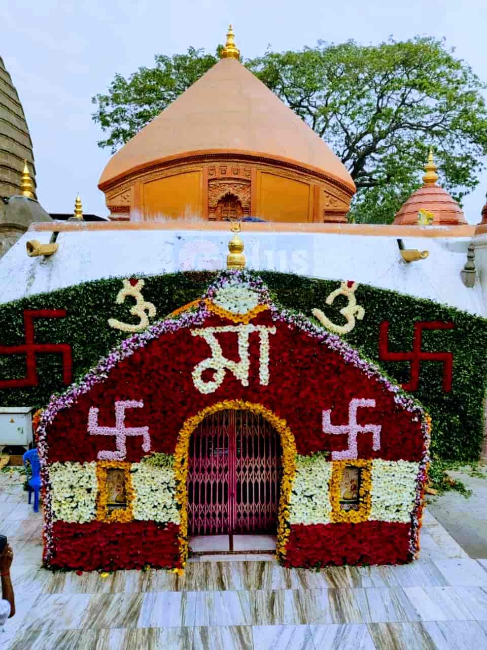 Gulab Flower Decorators in Pan Bazaar,Guwahati Best Event Organisers