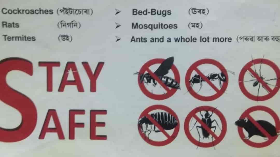 Top Pest Control Services in Guwahati Best Residential Pest Control