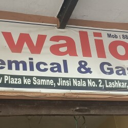 Qizlar ozlarining soqollarini korsatadigan fotosessiyalar