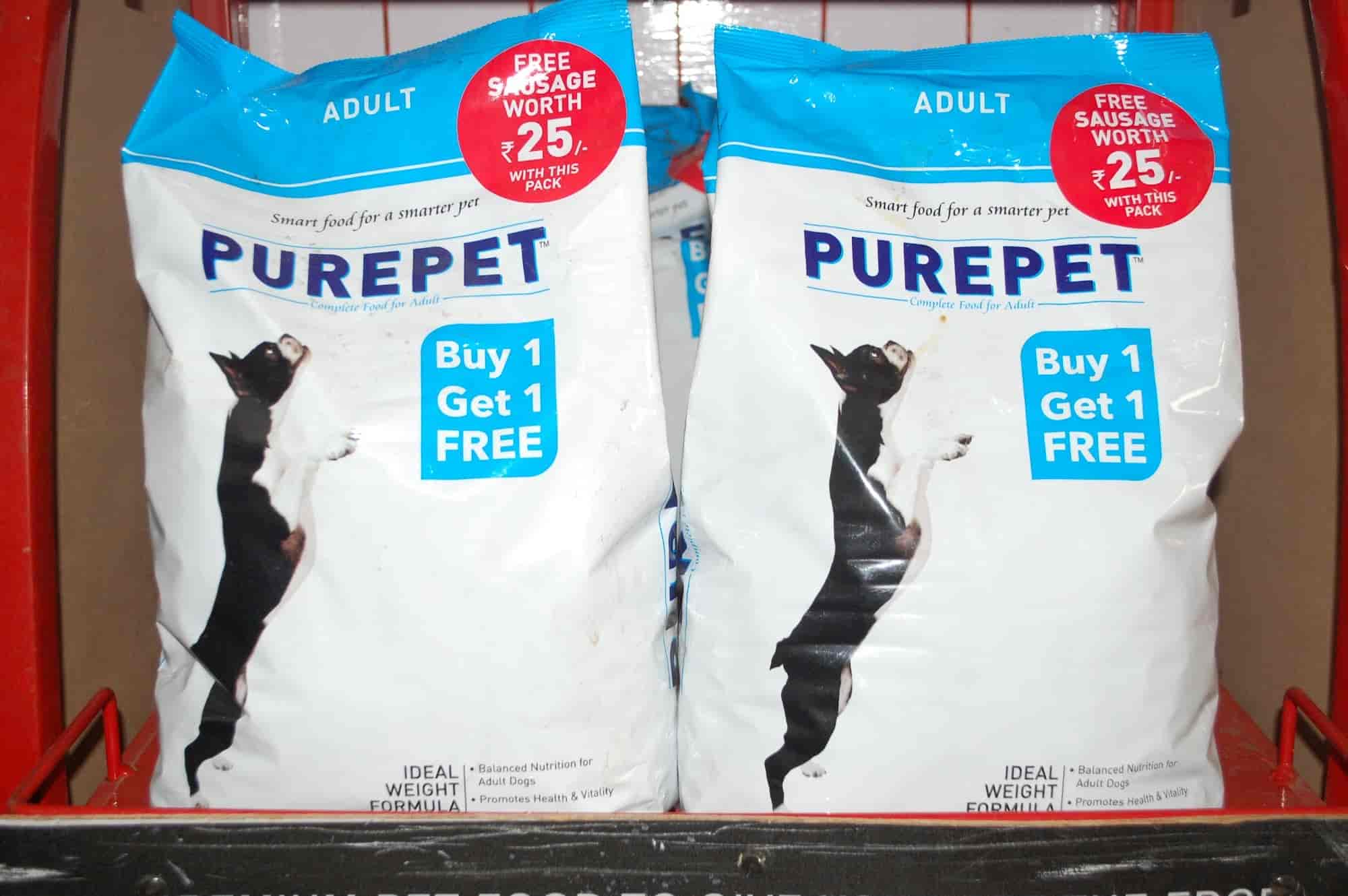 Top Dog Training Centres in Lashkar Best Pets Training Gwalior near