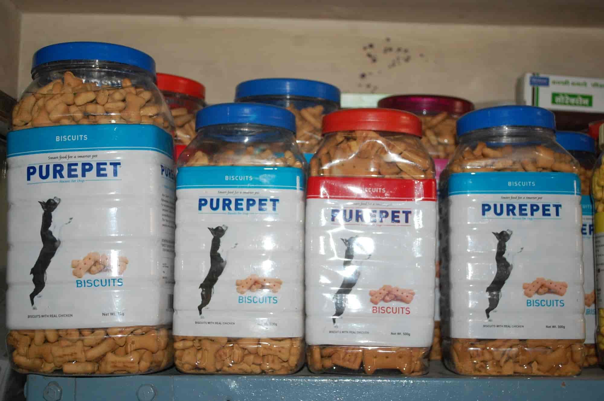 Top Dog Training Centres in Lashkar Best Pets Training Gwalior near