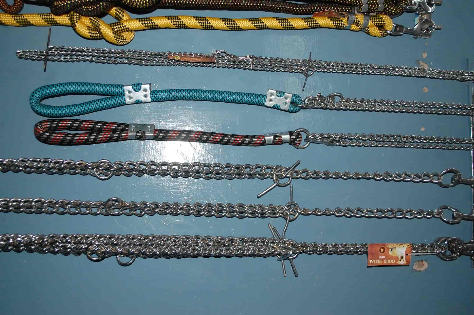 Top Dog Training Centres in Lashkar Best Pets Training Gwalior near