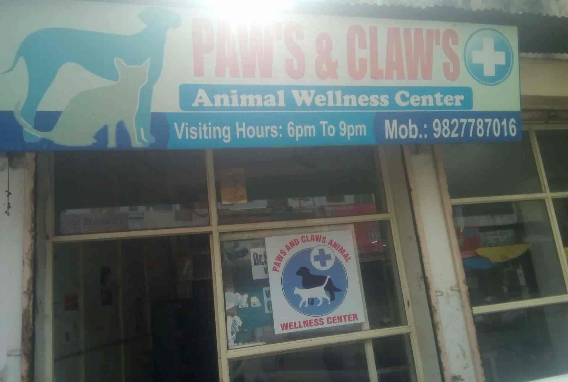 Paws and Claws Animal Wellness Center in Lashkar,Gwalior - Best Pet Clinics in Gwalior - Justdial Paws and Claws Animal Wellness Center in Lashkar,Gwalior - Best Pet Clinics in Gwalior - Justdial