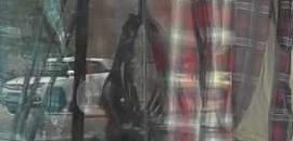 Top Wrogn T Shirt Retailers In Thatipur Best Wrogn T Shirt Retailers Gwalior Justdial But there's something good in every day. justdial