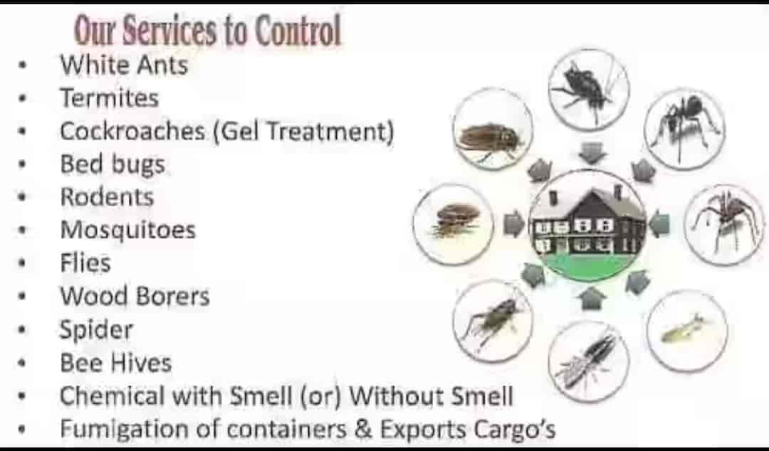 Top Residential Pest Control Services in Bareilly Best Pest Control