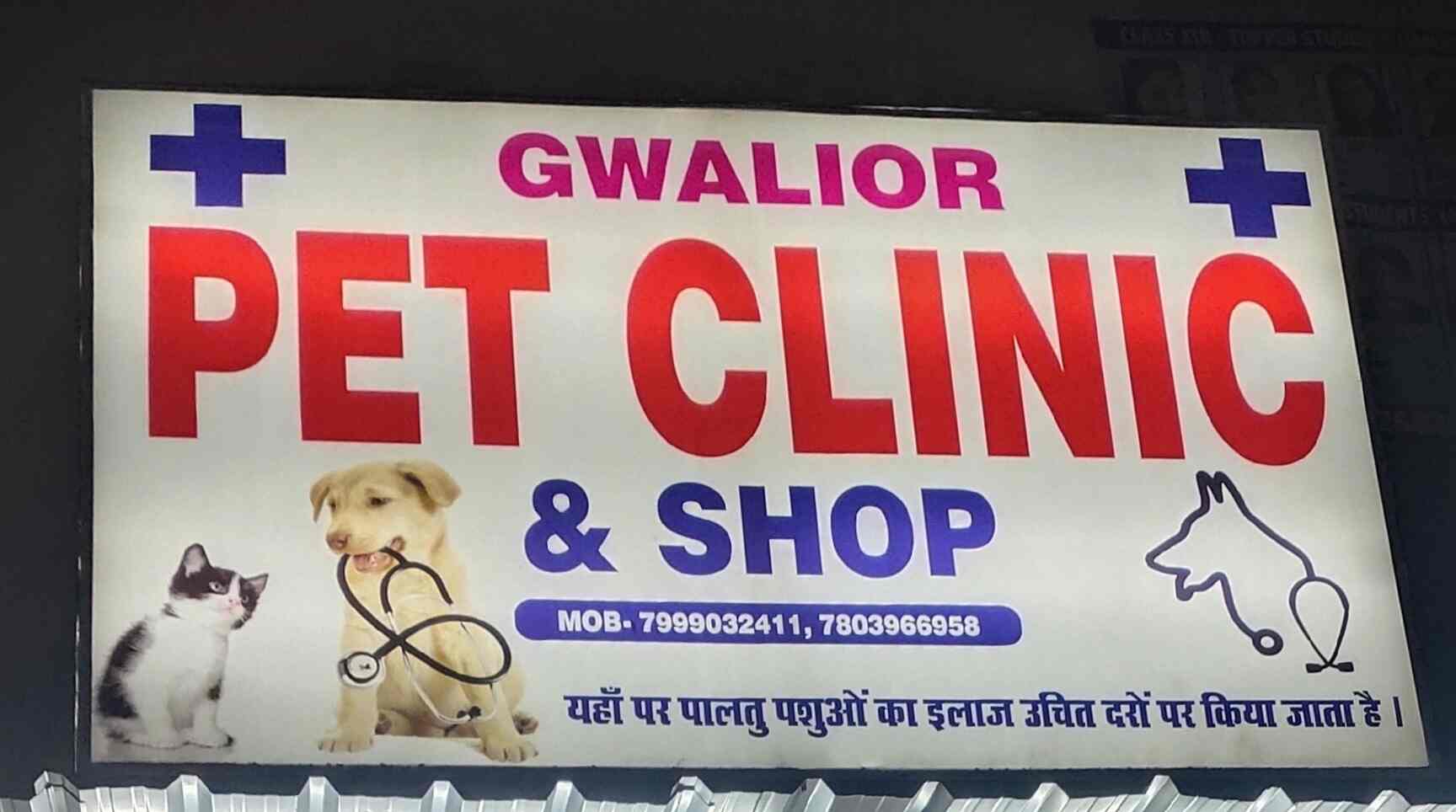 Top Dog Training Centres in Lashkar Best Pets Training Gwalior near