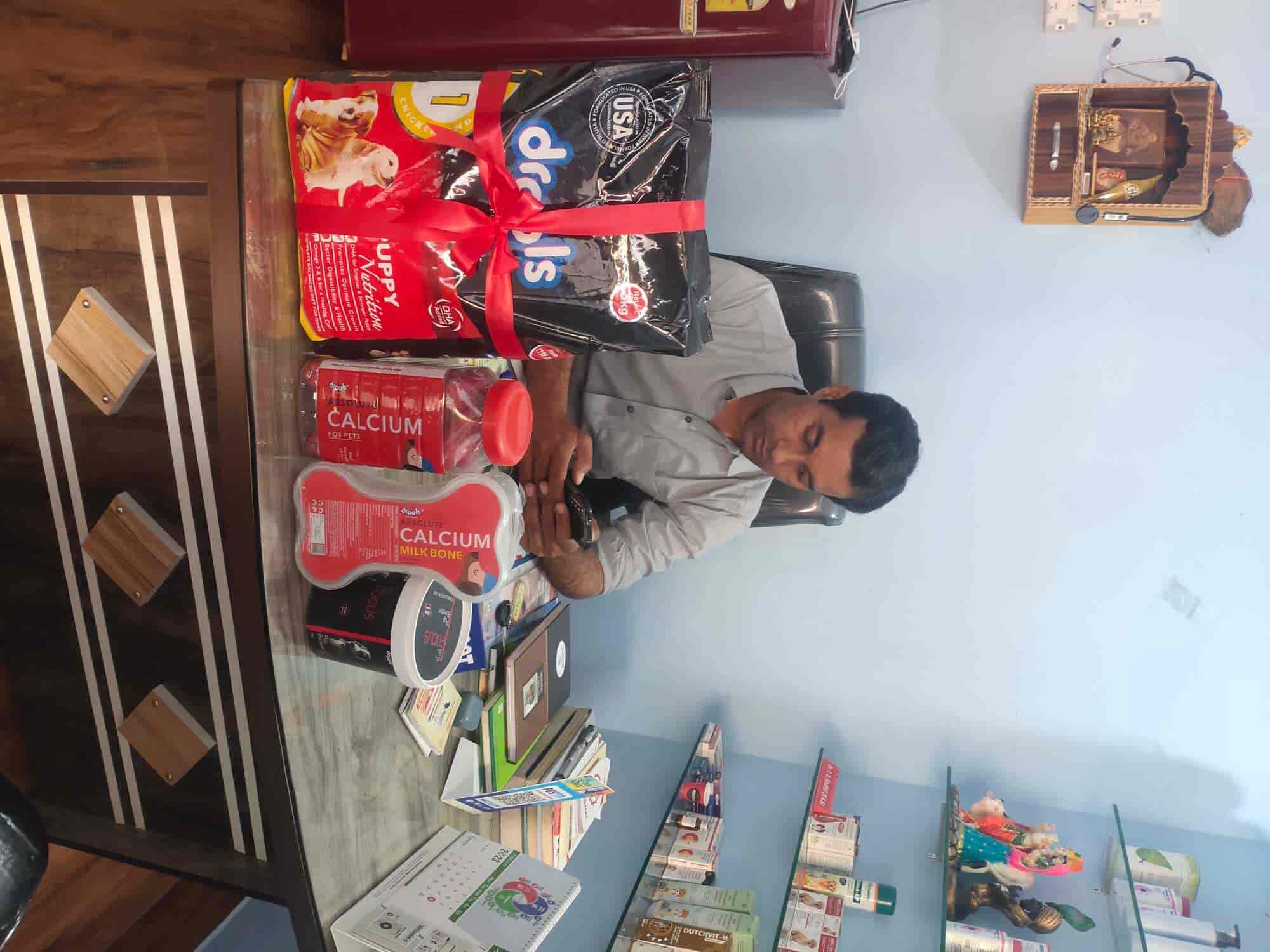 Top Dog Training Centres in Lashkar Best Pets Training Gwalior near