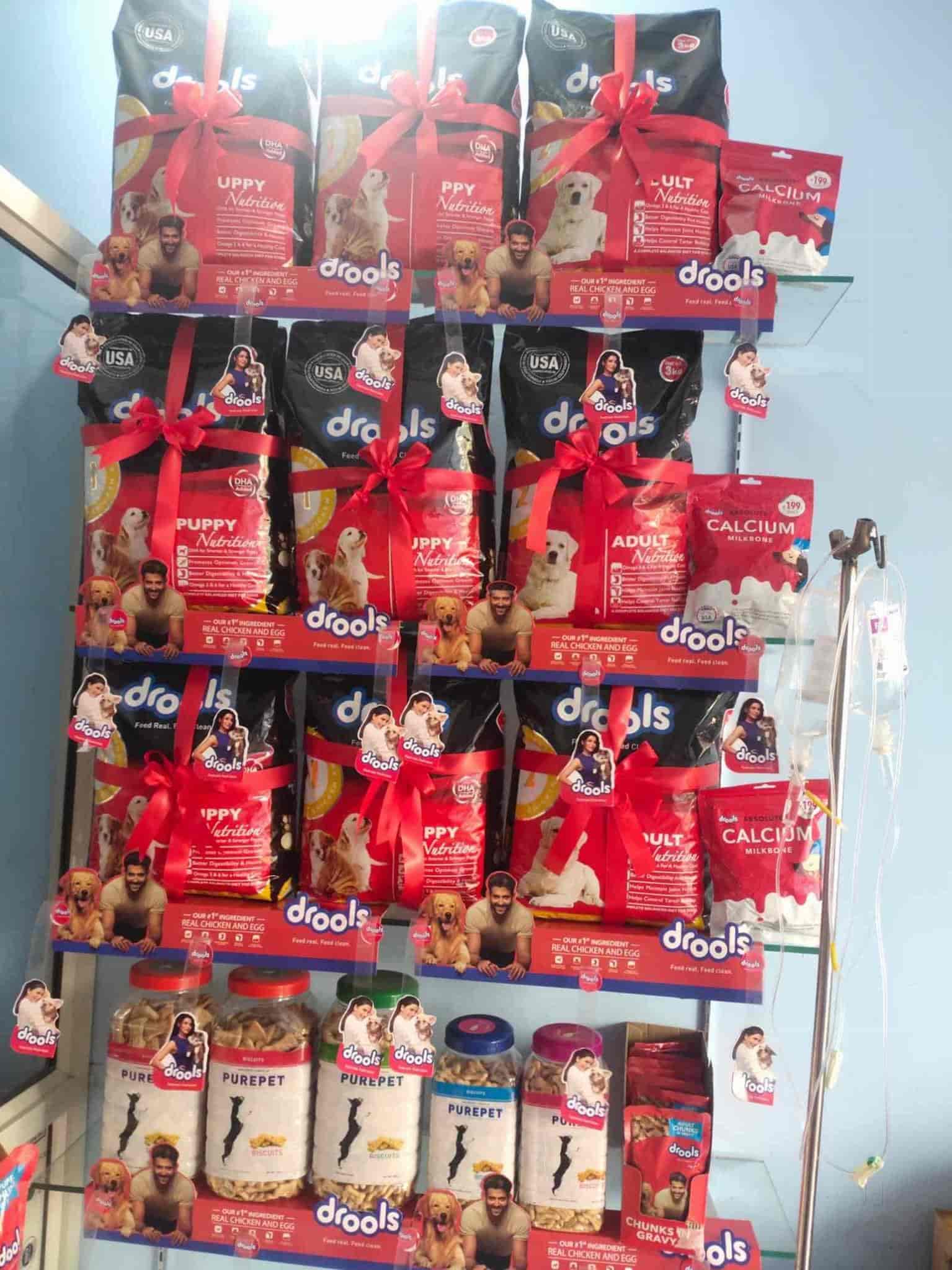 Top Dog Training Centres in Lashkar Best Pets Training Gwalior near