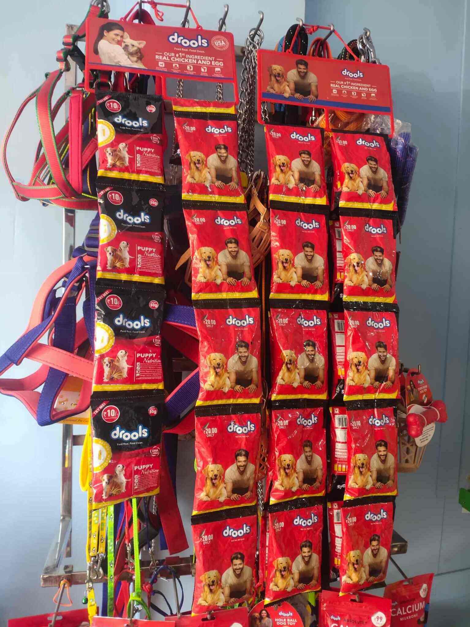 Top Dog Training Centres in Lashkar Best Pets Training Gwalior near