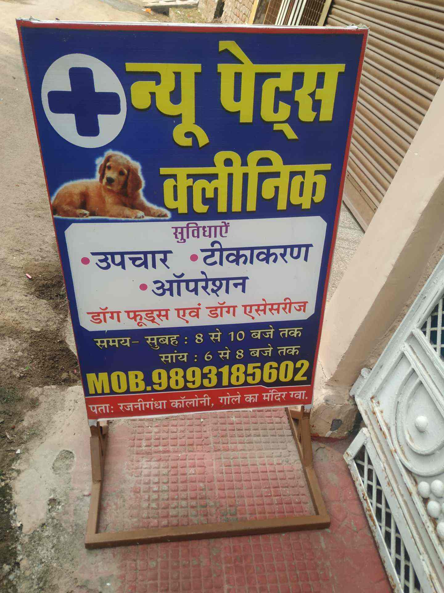 Top 10 Veterinary Clinics In Motijheel Best Clinics For Pets