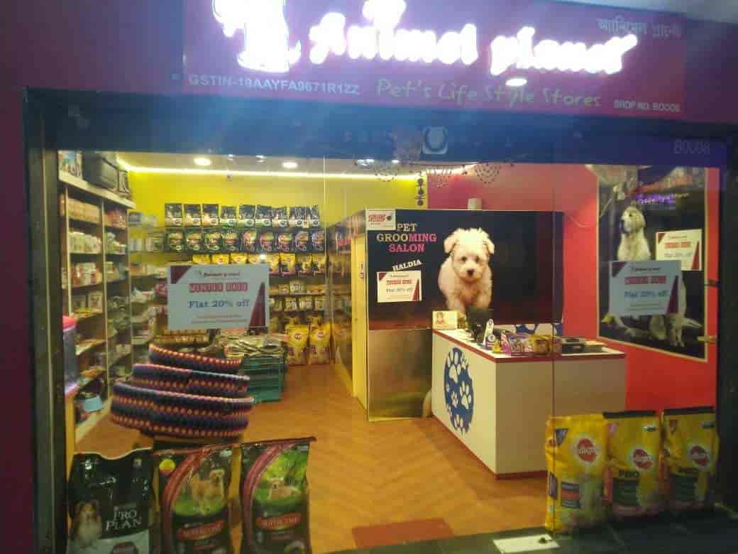 Animel Planet in Debhog Haldia Best Pet Shops For Dog in Haldia