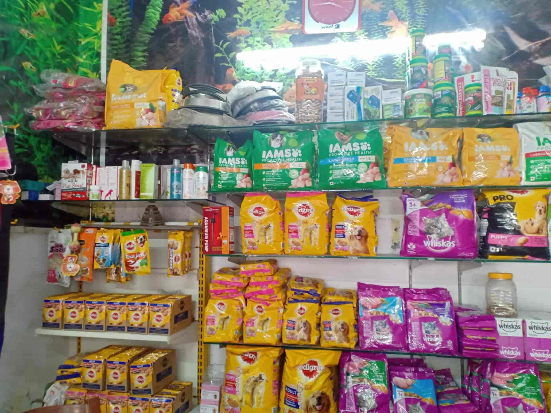 Top Aquarium Fish Wholesalers in Haldwani एक्वेरियम फिश व्होलेसलेर्स