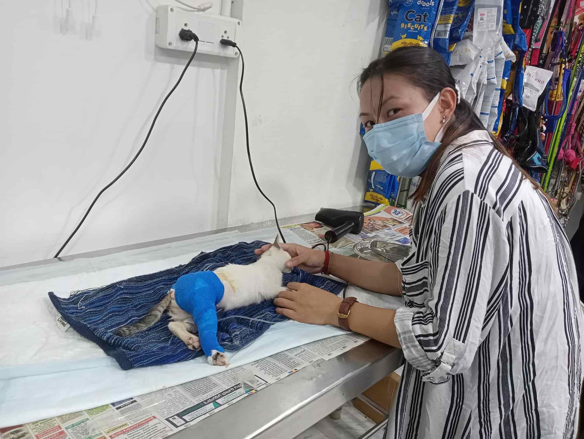 Lalith Pet Clinic in Opposite Indoor Stadium,Hassan Best Veterinary Doctors in Hassan Justdial