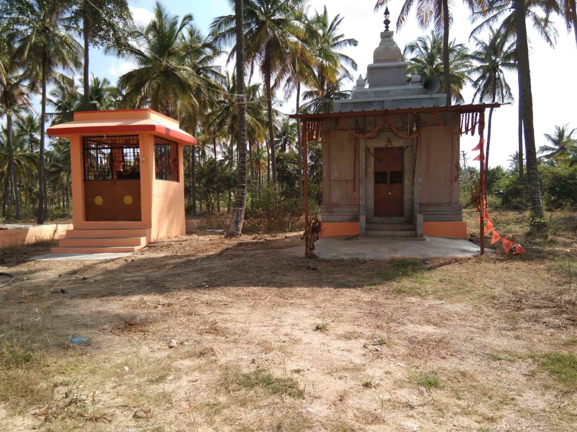 Top Ashrams in Hassan Best Yoga Ashrams near me Justdial