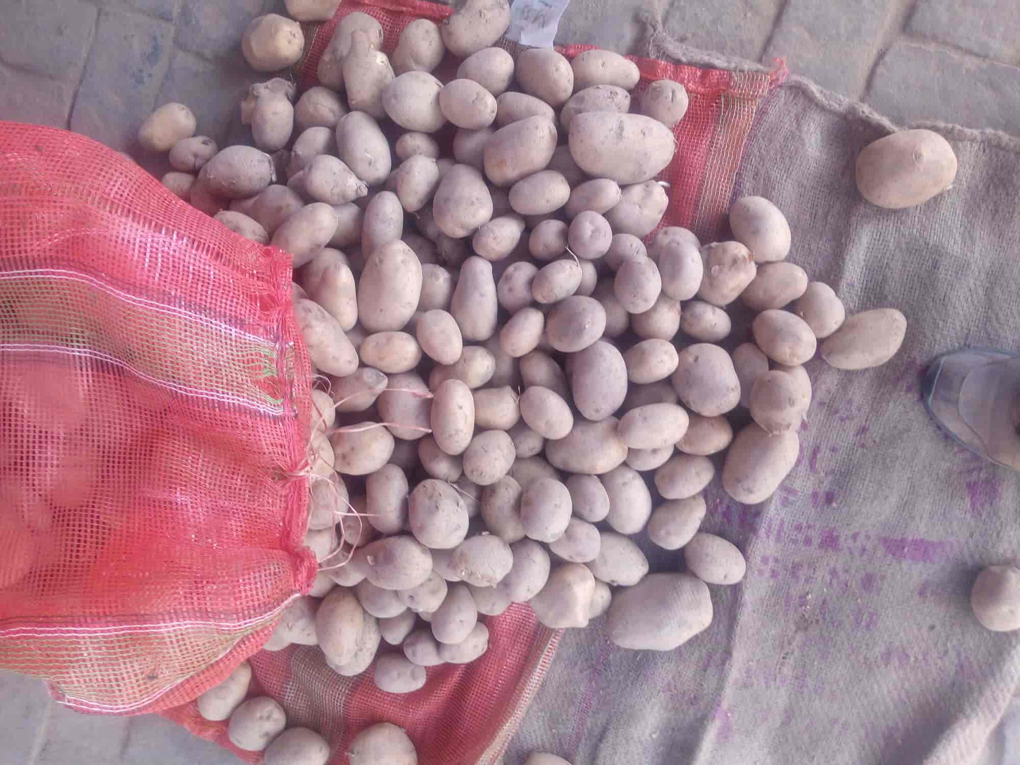 Top Potato Distributors in Solan near me - Justdial