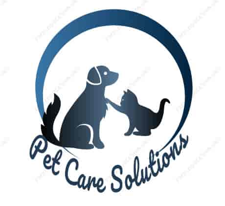 Top Pet Grooming Services in Hissar - Best Pet Spa - Justdial Top Pet Grooming Services in Hissar - Best Pet Spa - Justdial