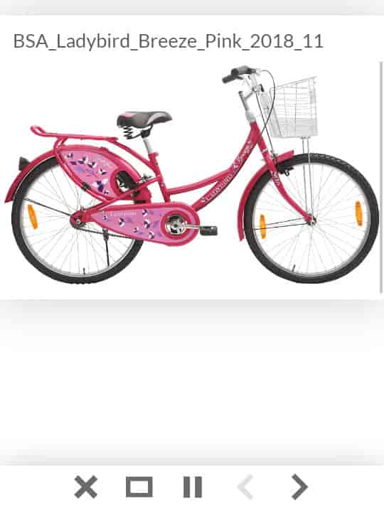 pink lady bird cycle price below 3000