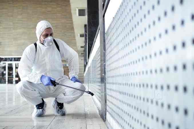 Timber pest inspection specialist near Riverview NSW